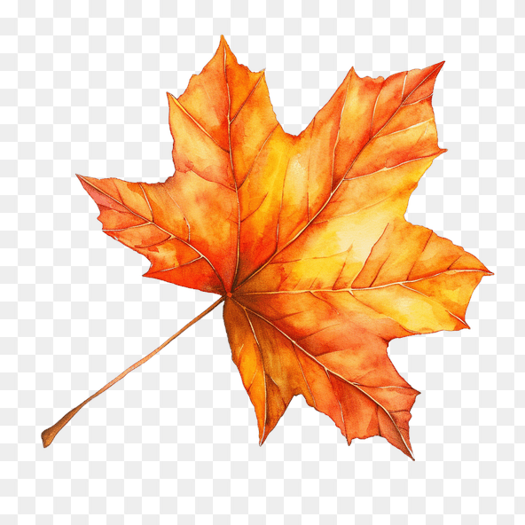 fall leaf clipart
