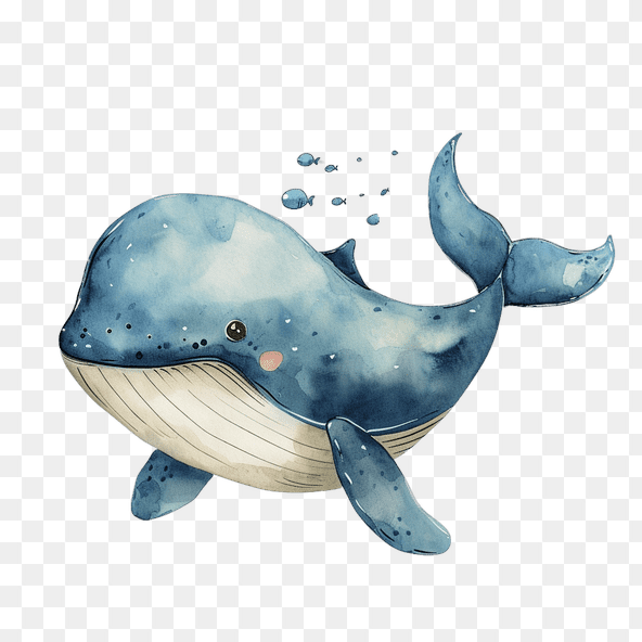 whale clipart