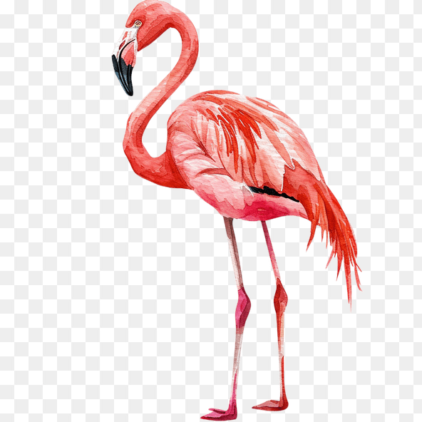 pink flamingo clipart