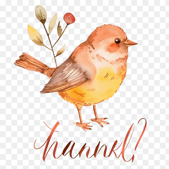 Cute Watercolor Bird Thank You Clipart