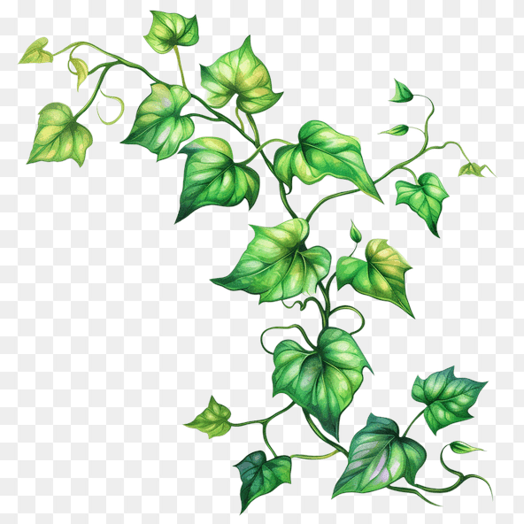 cute vines clipart