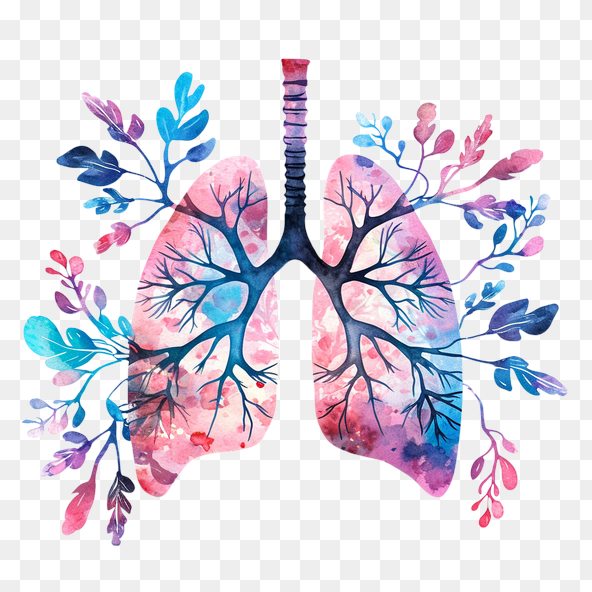 blossom lungs clipart