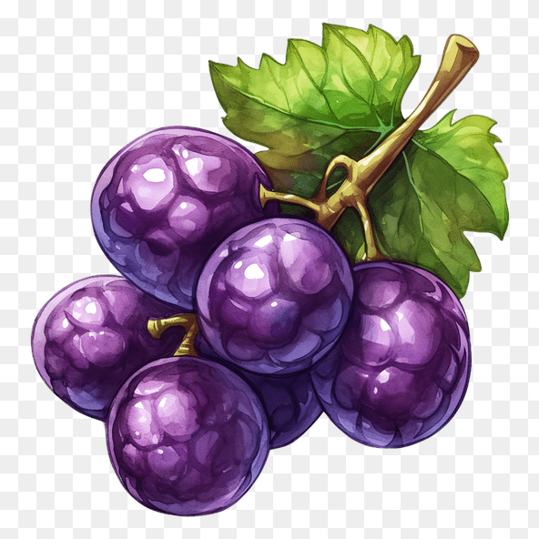 purple grape clipart