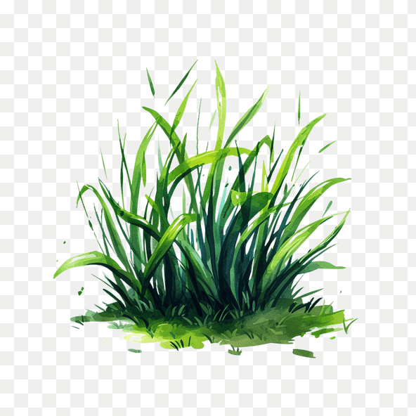 green grass clipart