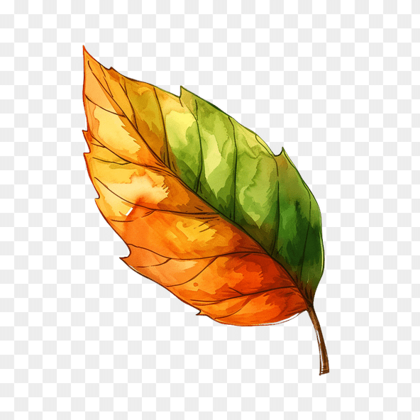 autumn leaf clipart