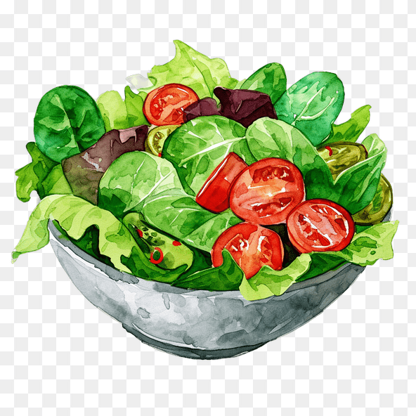 vegetable salad clipart
