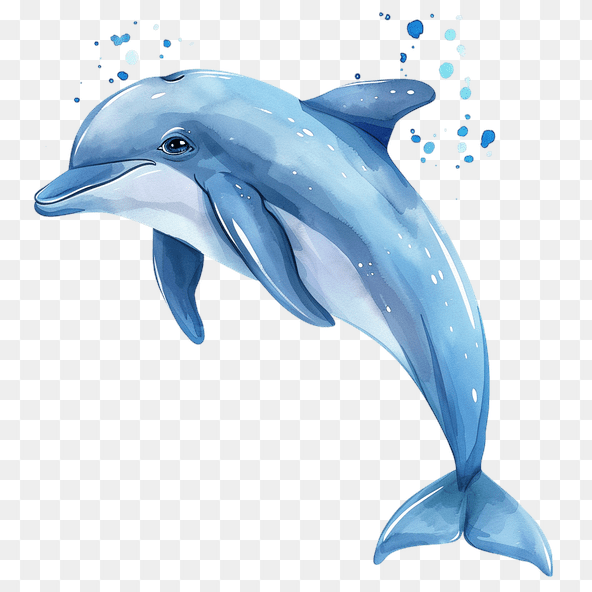 Leaping Dolphin Watercolor Clipart