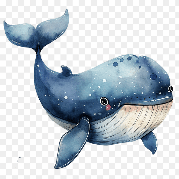 cartoon whale clipart