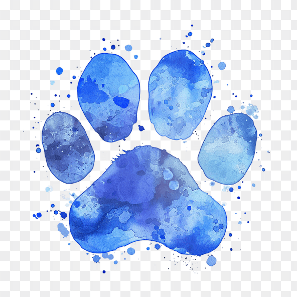 Blue paw print clipart