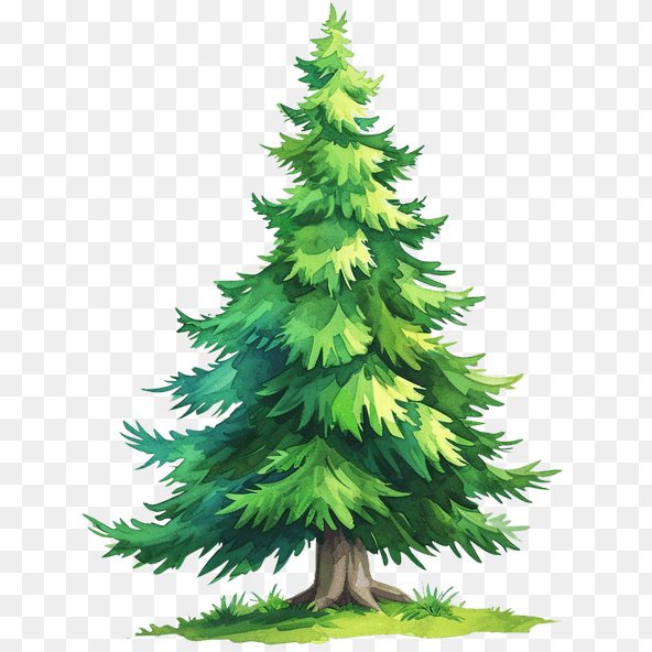 cute pine tree clipart