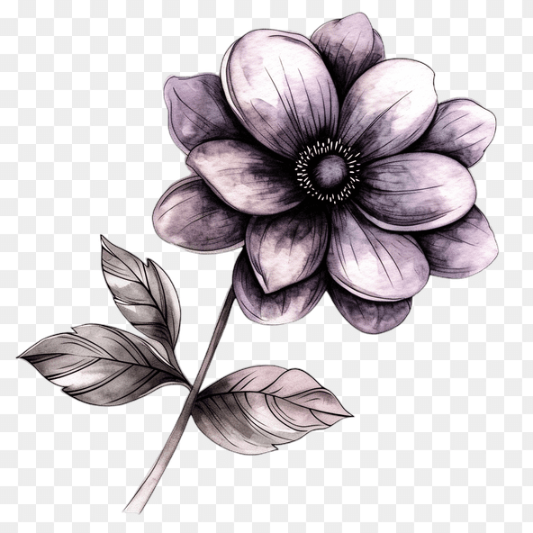 black and white flower clipart