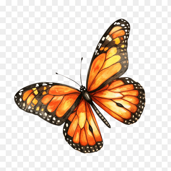 Orange Monarch Butterfly Clipart