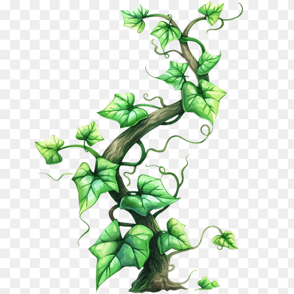 Green Climbing Plant Clipart