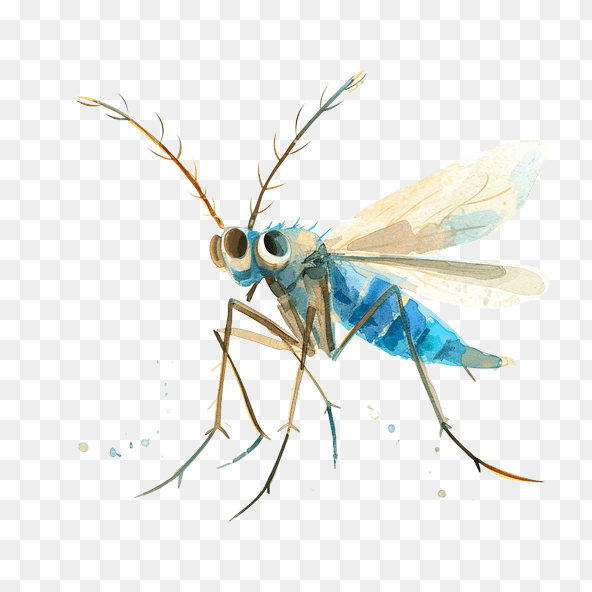 Watercolor Blue Fly Clipart