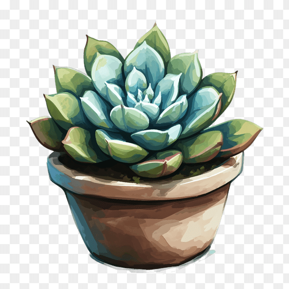 pot of Succulent Clipart