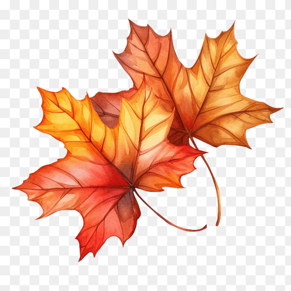 watercolor autumn leaves clipart