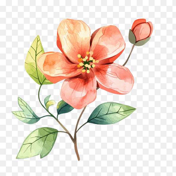 Watercolor painting of a flower