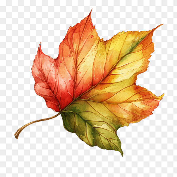 fall leaves clipart