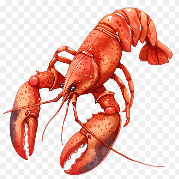 Red Lobster Clipart