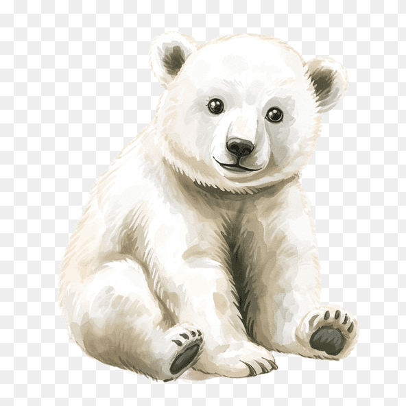 watercolor polar bear clipart