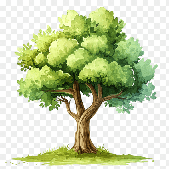 Watercolor Green Tree Clipart