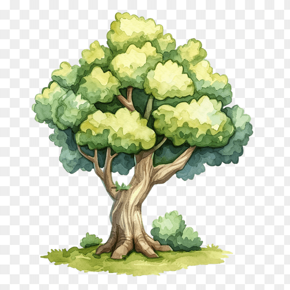 trees clipart