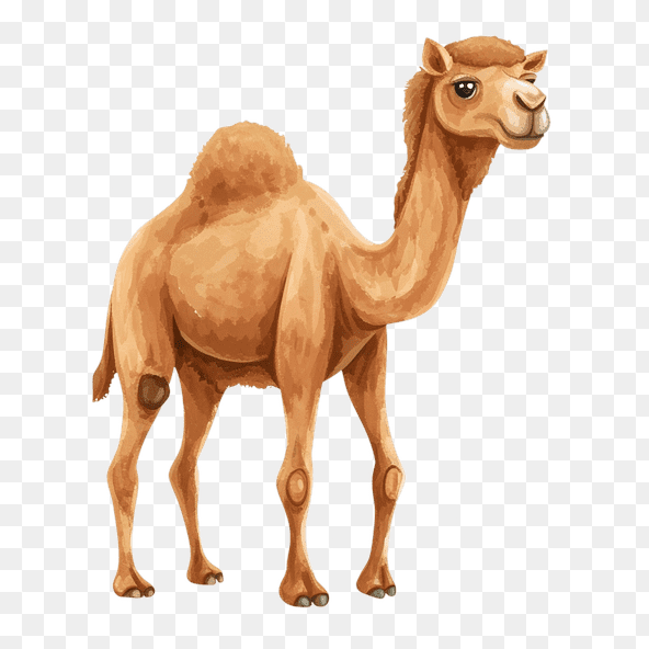 Adorable Desert Camel Clipart