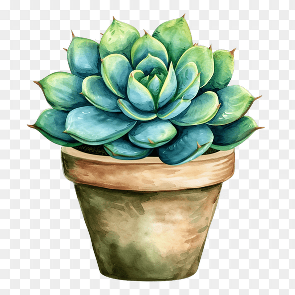 green succulent clipart