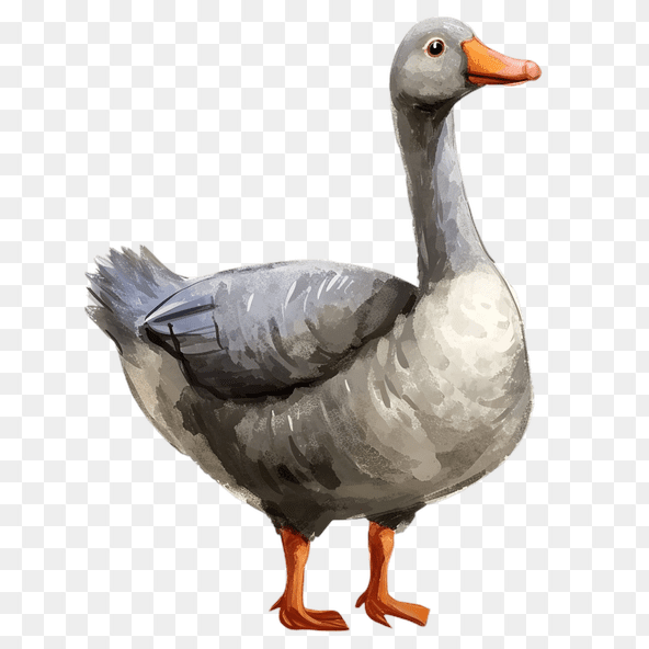 Gray Goose Bird Clipart