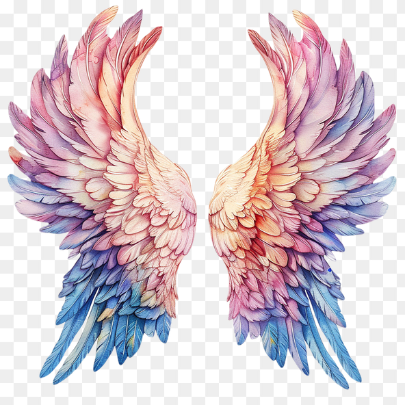 watercolor cute  wings clipart