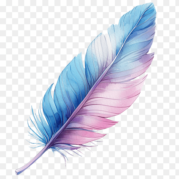 Watercolor Pink Blue Feather Clipart