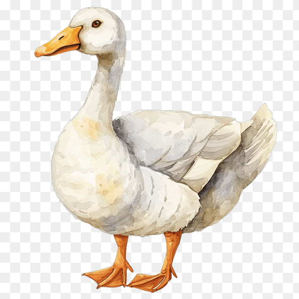 cute goose clipart