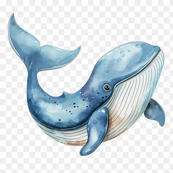blue whale clipart