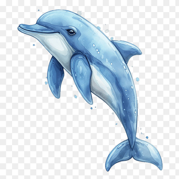watercolor dolphin clipart
