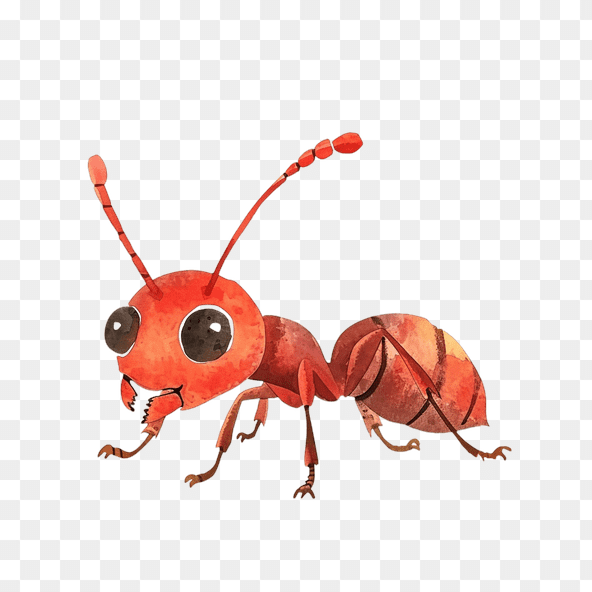 ant clipart