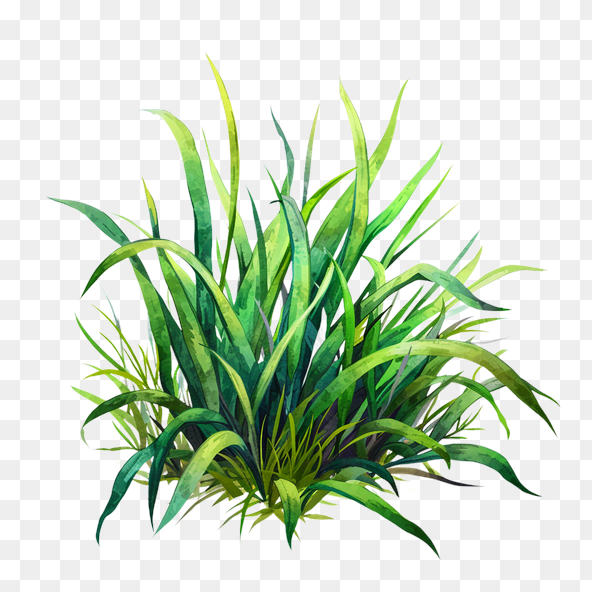 natural grass clipart