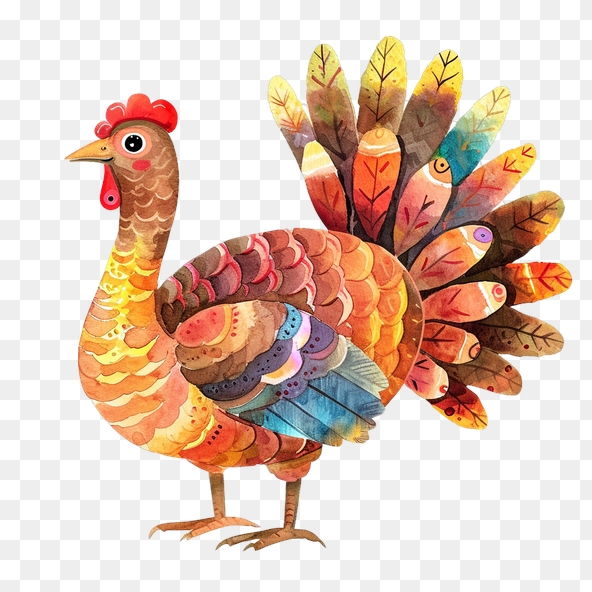 watercolor thanksgiving turkey clipart