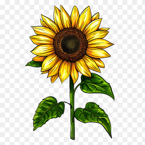 cute sunflower clipart