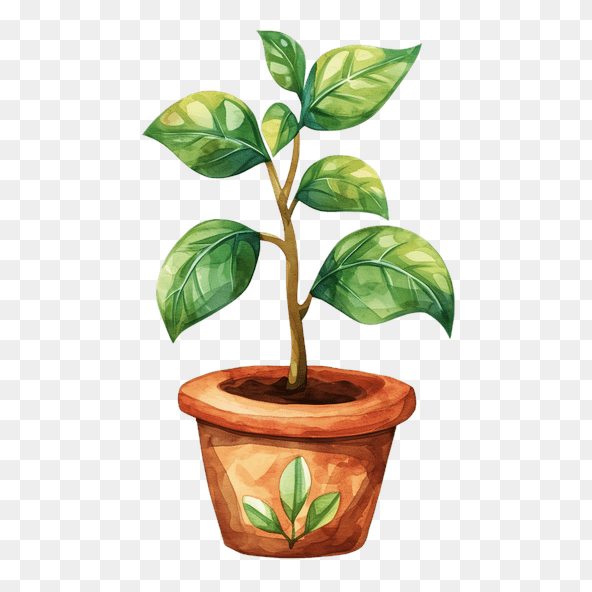 potted plant clipart