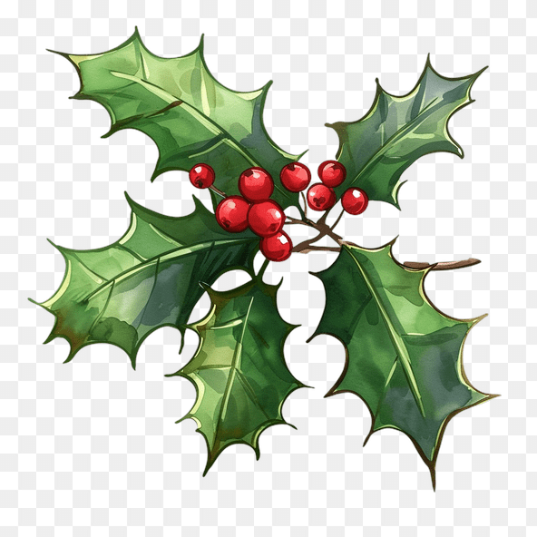 Watercolor Christmas Holly Sprig Clipart