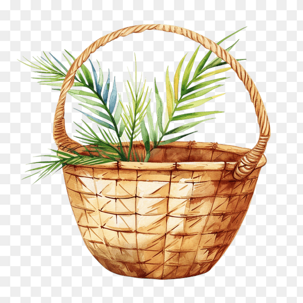 Watercolor Woven Basket With Palm Leaves Clipart