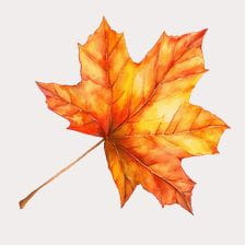fall leaf clipart
