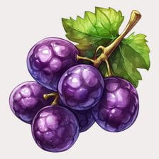 purple grape clipart