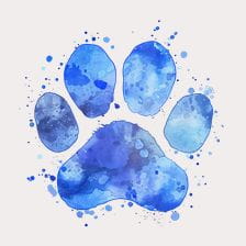 Blue paw print clipart