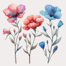 Watercolor Floral Clipart