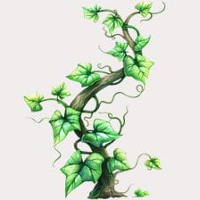 Green Climbing Plant Clipart