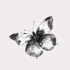 black and white butterfly clip art