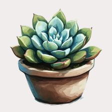 pot of Succulent Clipart