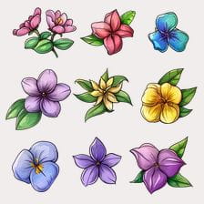 Colorful may flowers clipart