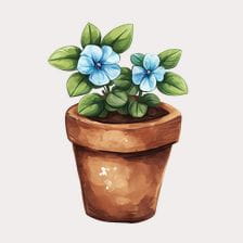 flower pot clipart